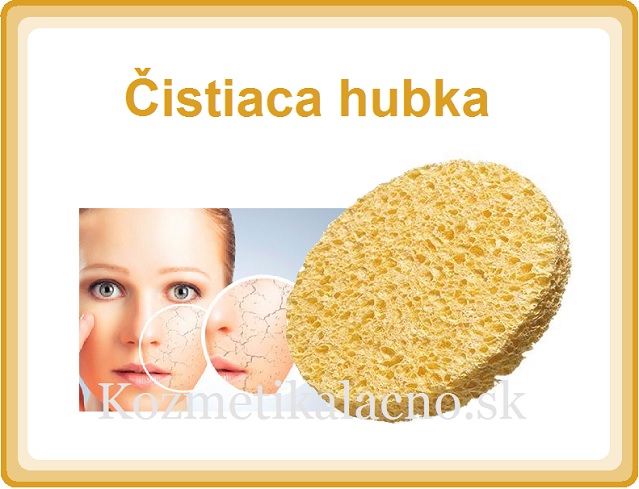Čistiaca hubka