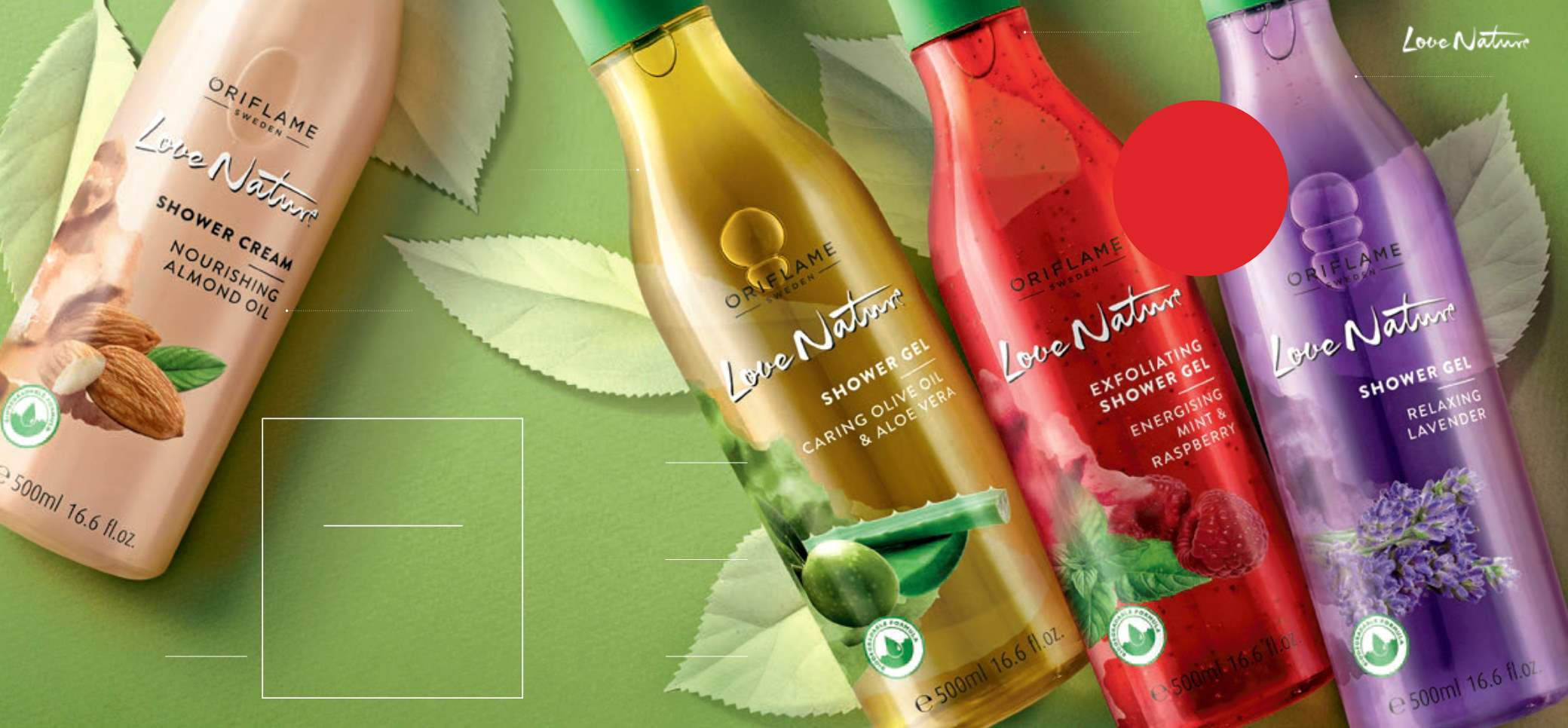 Sprchovací gél s olivovým olejom a aloe vera Love Nature